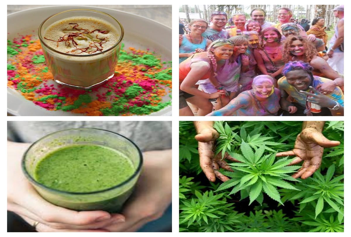 holi 2019 history of cannabis in india bhang thandai served during Holi