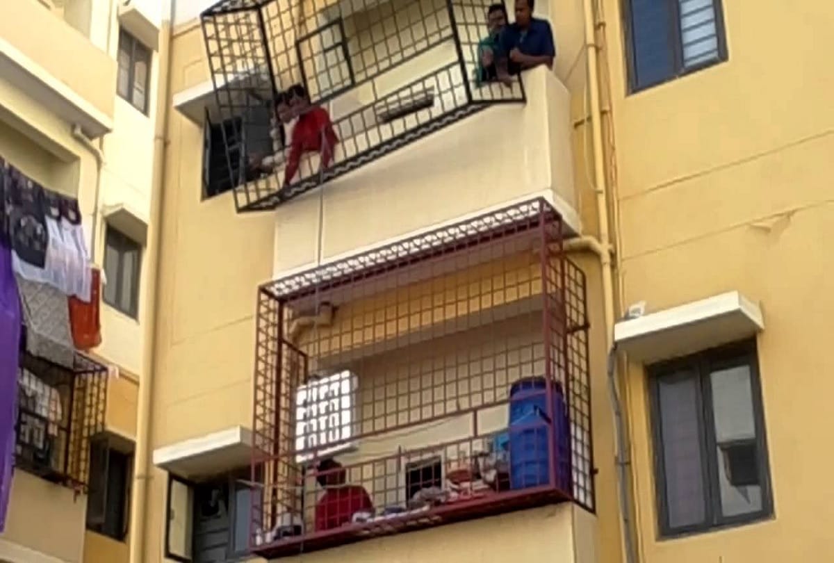 Can not feed birds from balcony of flat: Supreme Court