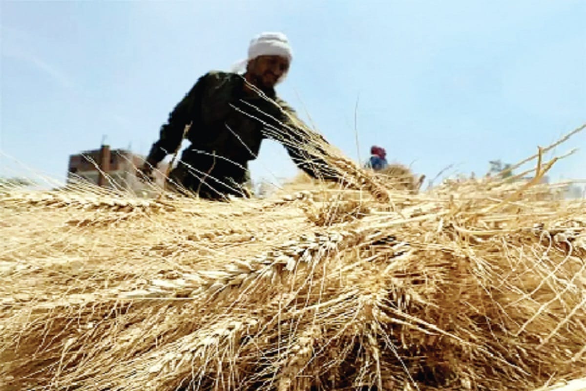 Lok Sabha Elections 2019, Debt waiver issue will be bigger for farmers in elections
