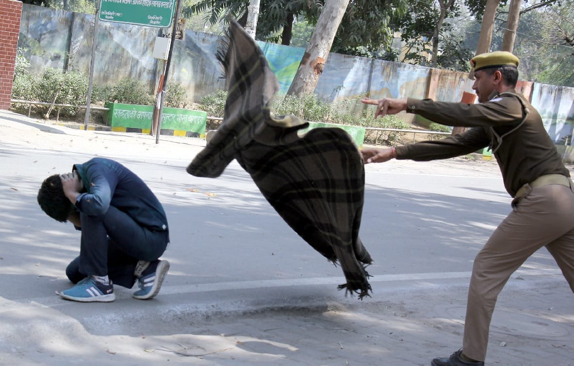 Bees Attack in Collectorate