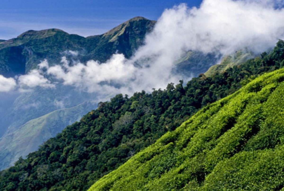 irctc has prepared tour package for ooty