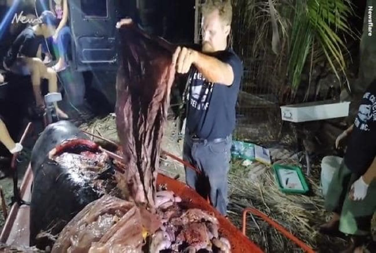Youth killed, three companions rescued after drowning in Ganges