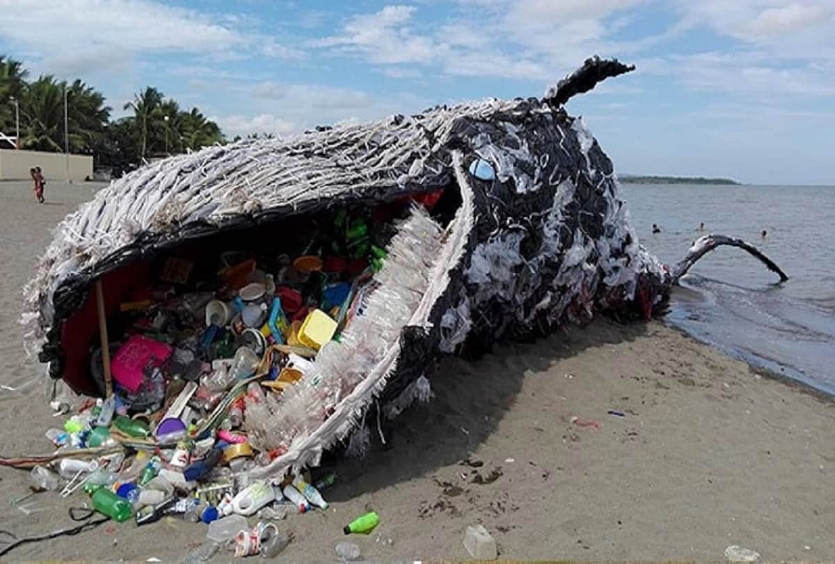 dead whale found with 40kg of plastic bags in its stomach in philippines