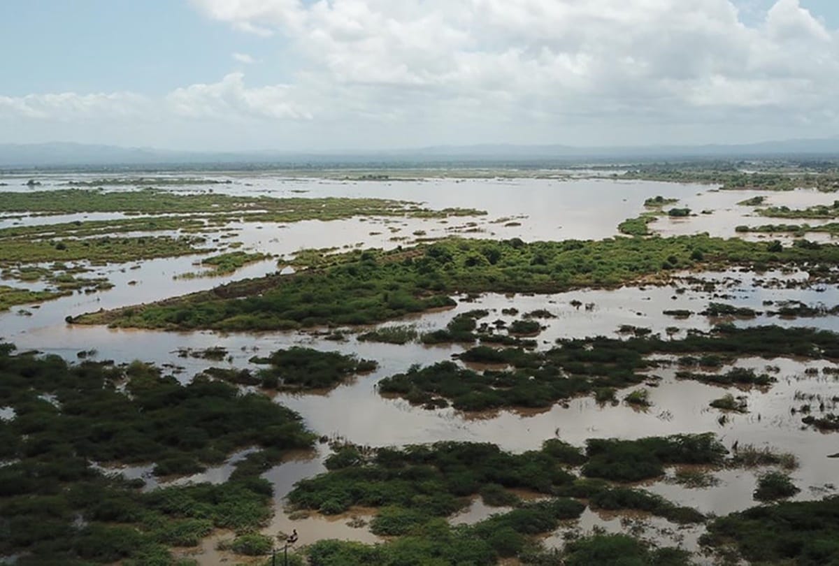 Cyclone Idai in Mozambique more than 1000 feared dead
