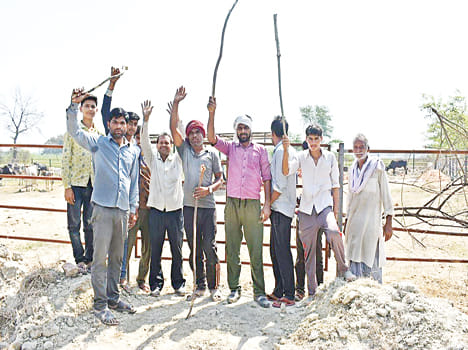 Cows stopped in incomplete goshala