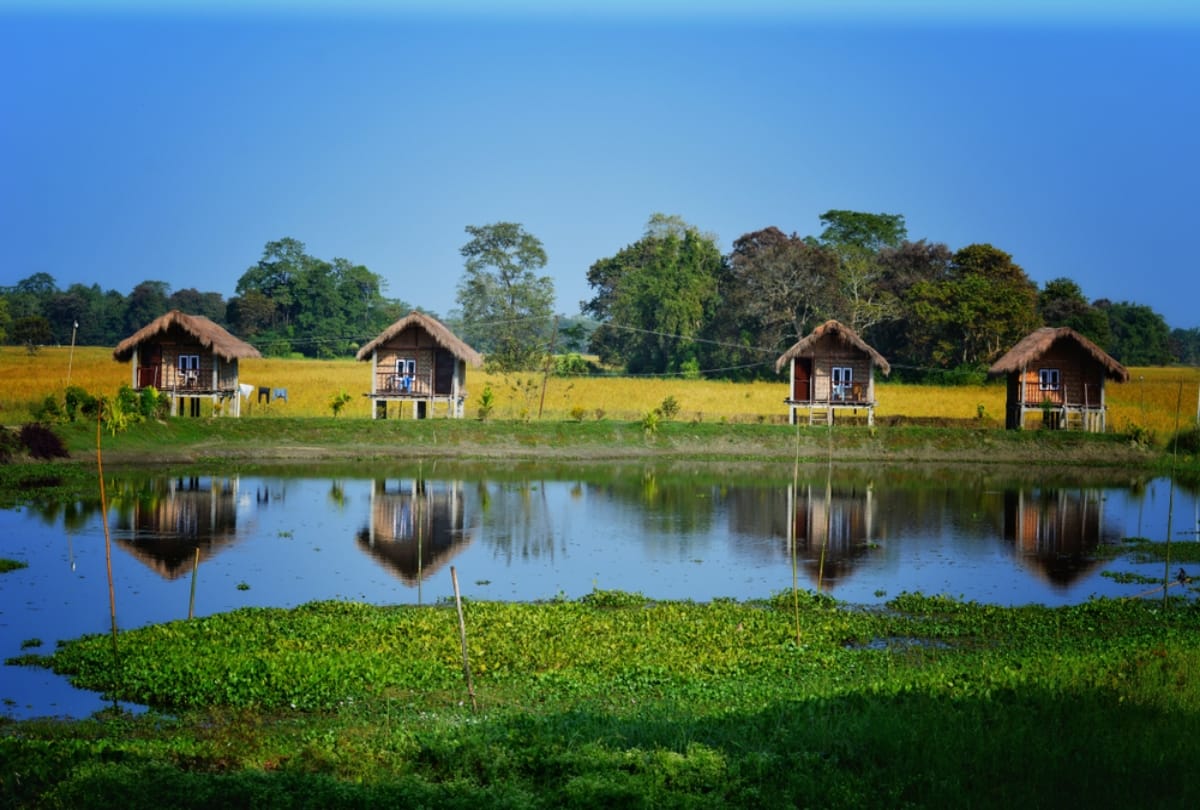 Assam tour: visit Assam for beautiful wildlife and hills