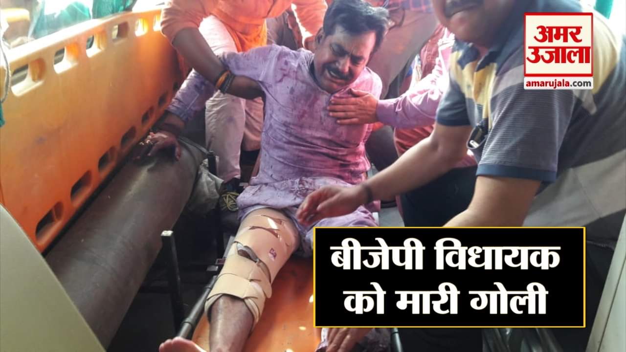 बीजेपी विधायक