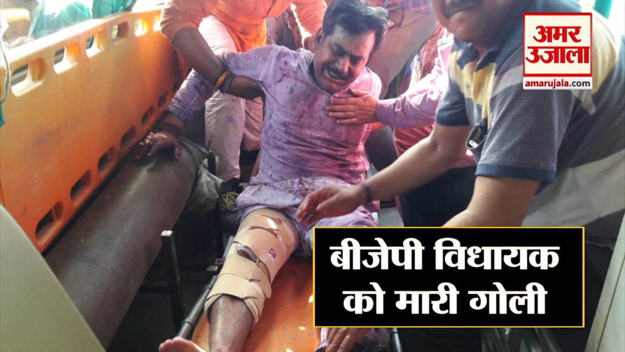 बीजेपी विधायक