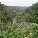 प्रतीकात्मक तस्वीर