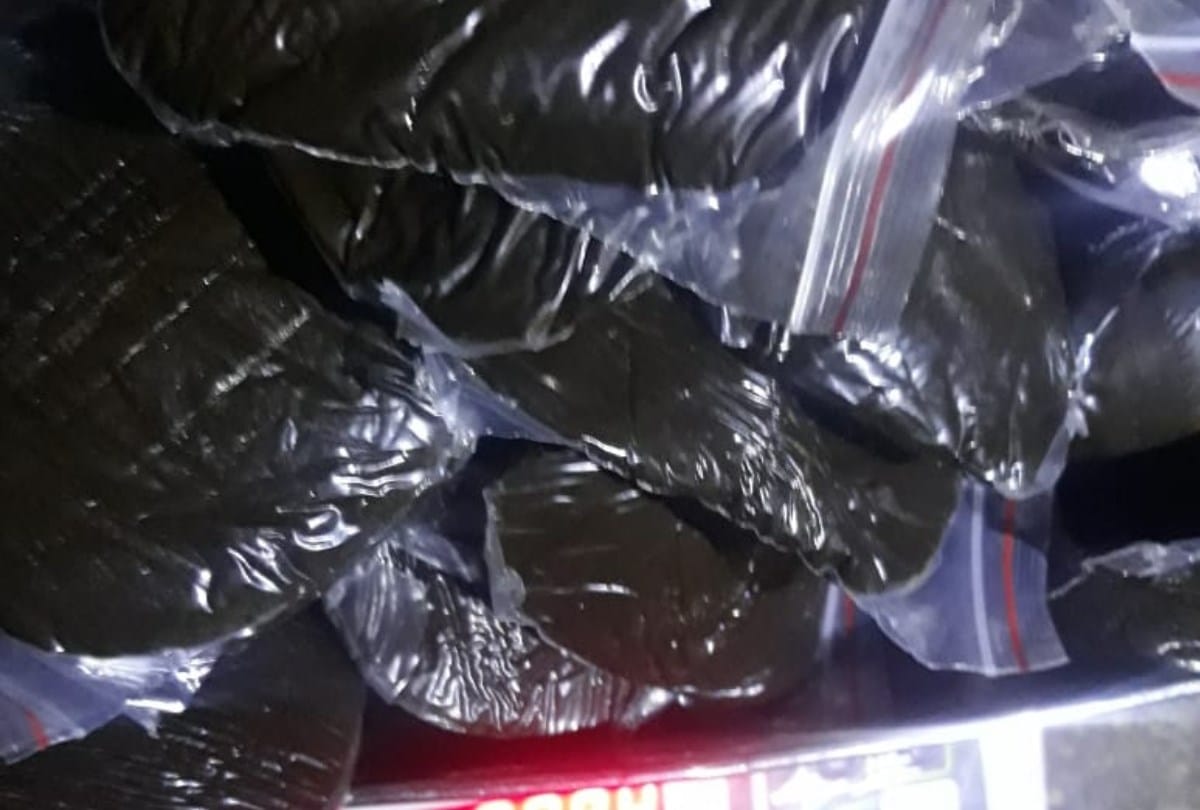 himachal news: one arrested with 8kg charas in chamba