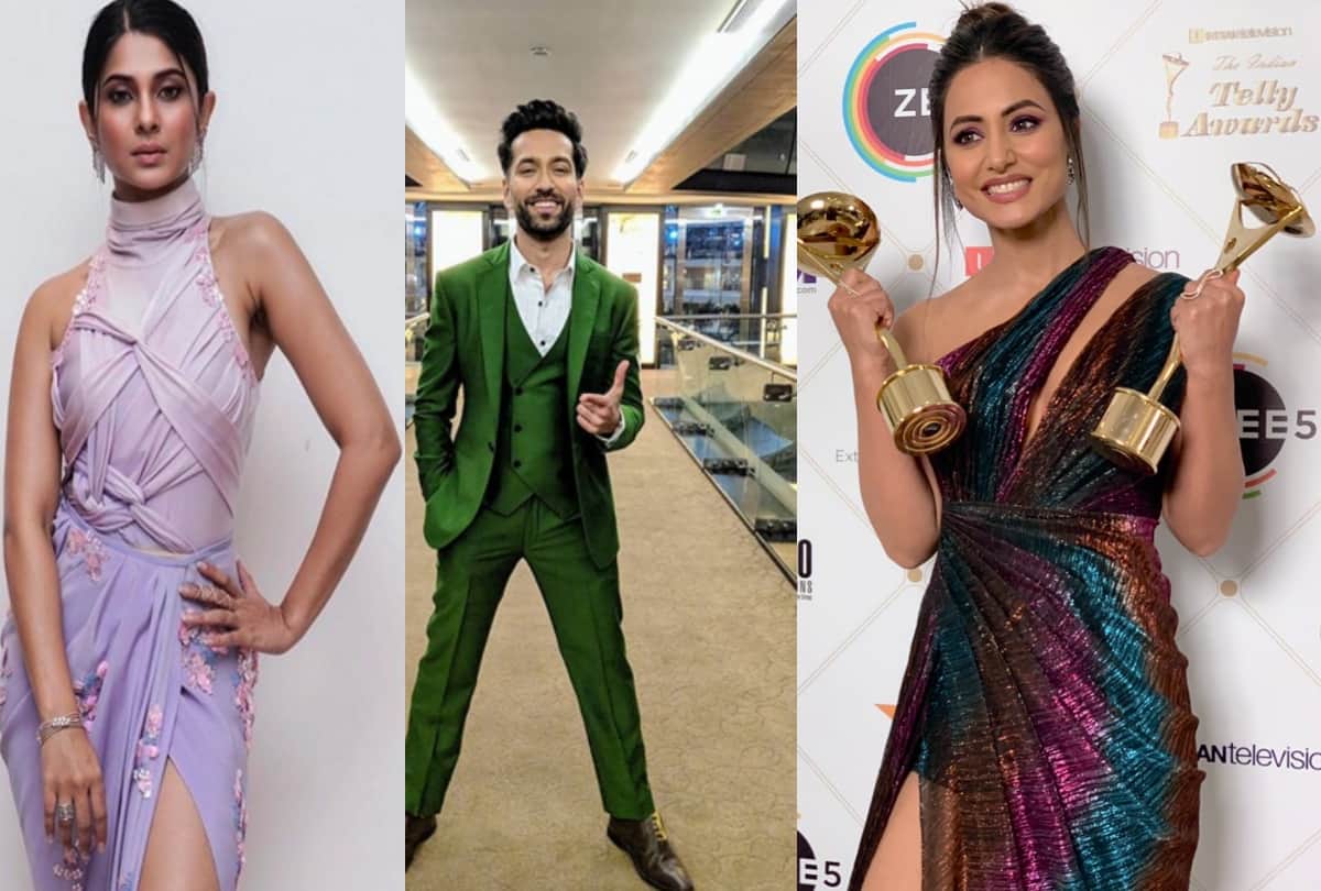 indian telly awards 2019 Hina won best negative role award jennifer winget win best actress award