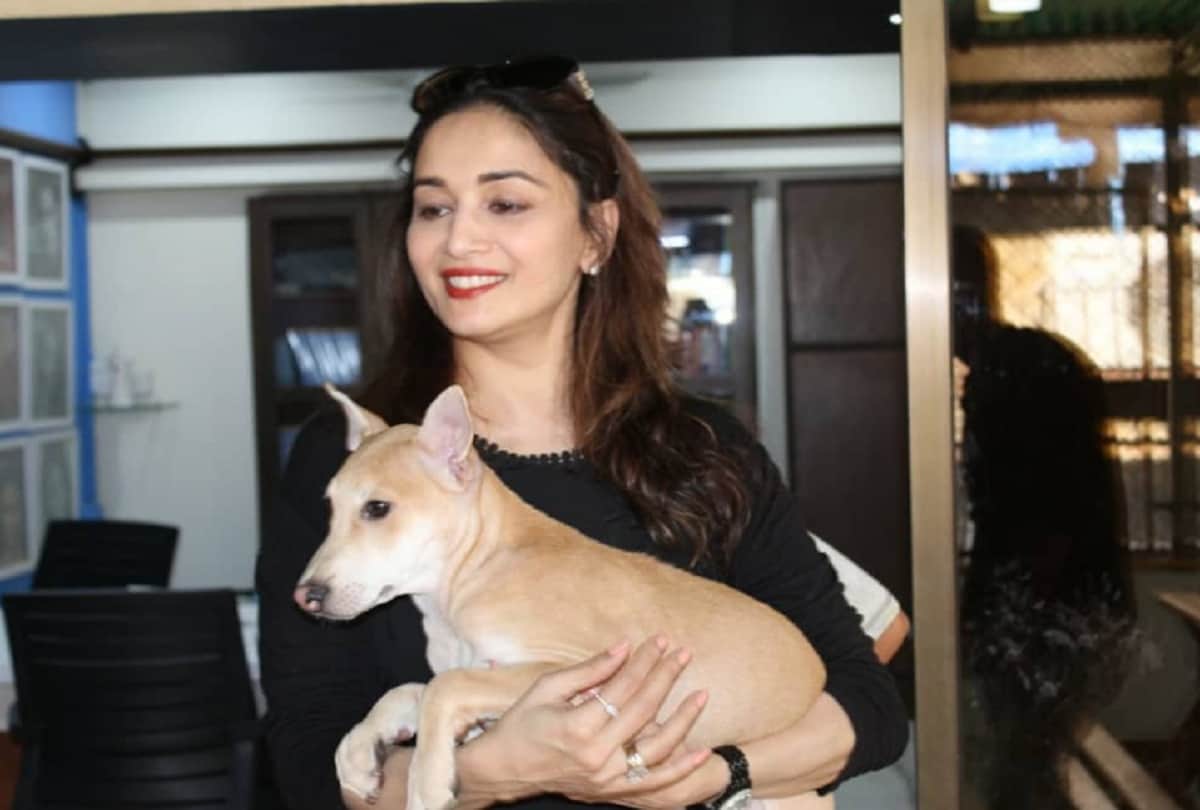 Madhuri Dixit adopted dog shared picture with husband