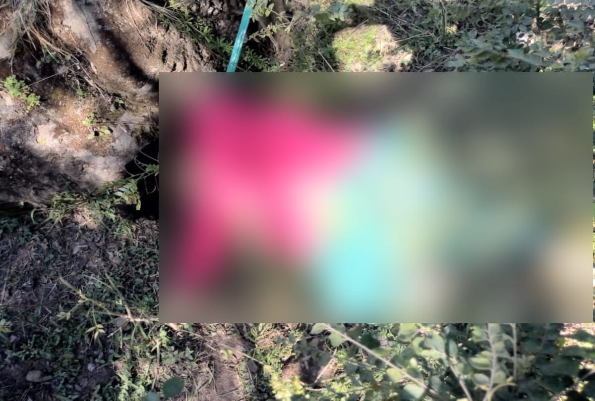 husband murdered wife in bilaspur himachal