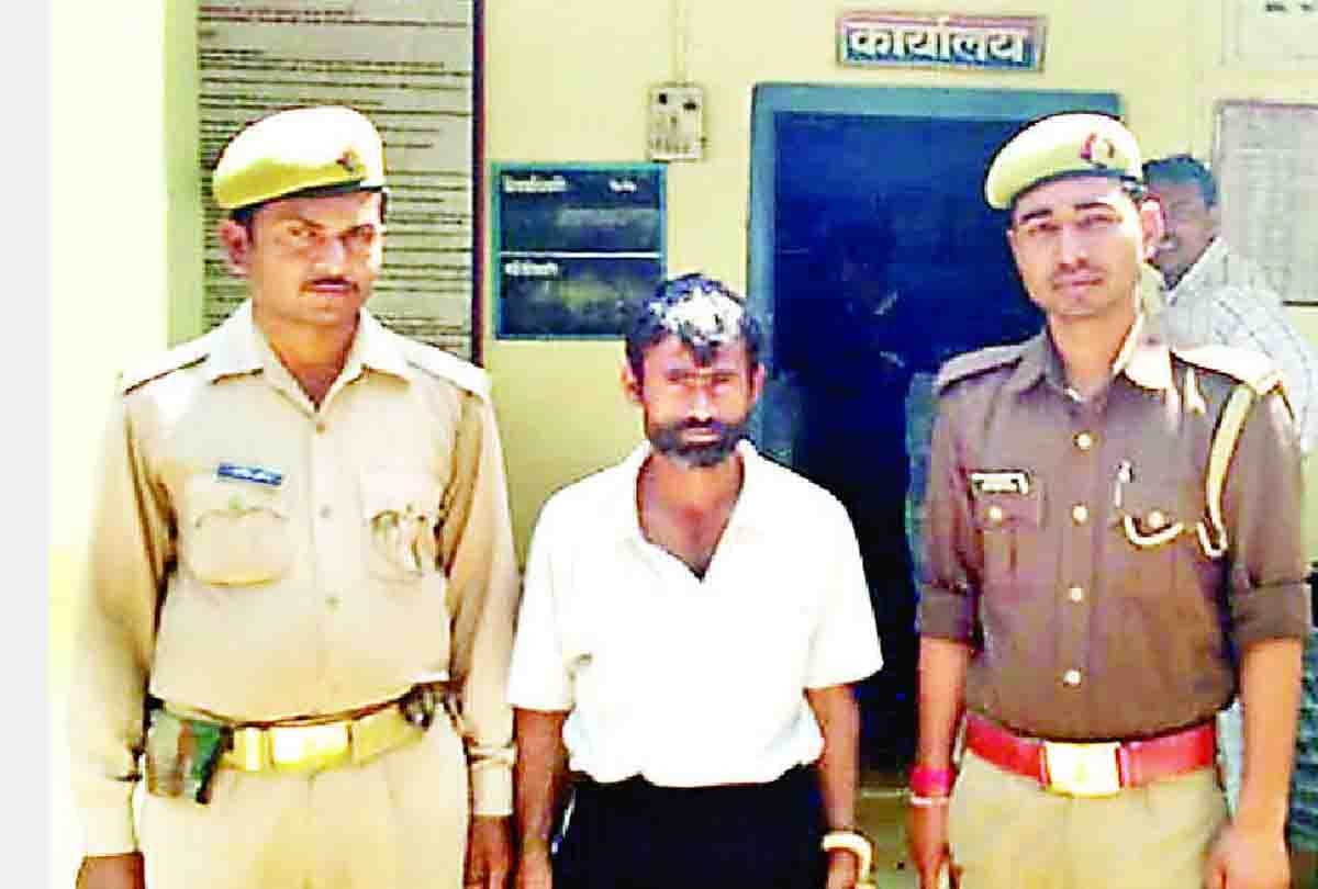 brother kills brother in hamirpur
