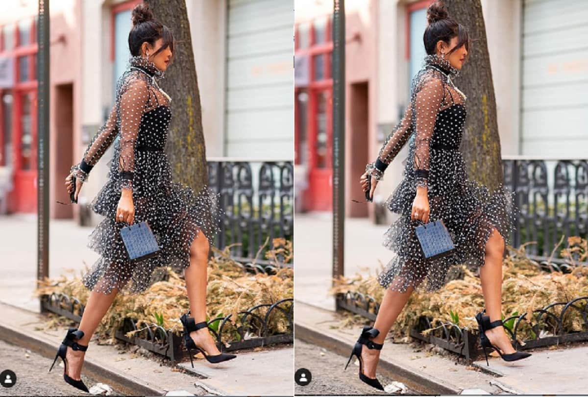 Priyanka Chopra stuns in Sheer black dress