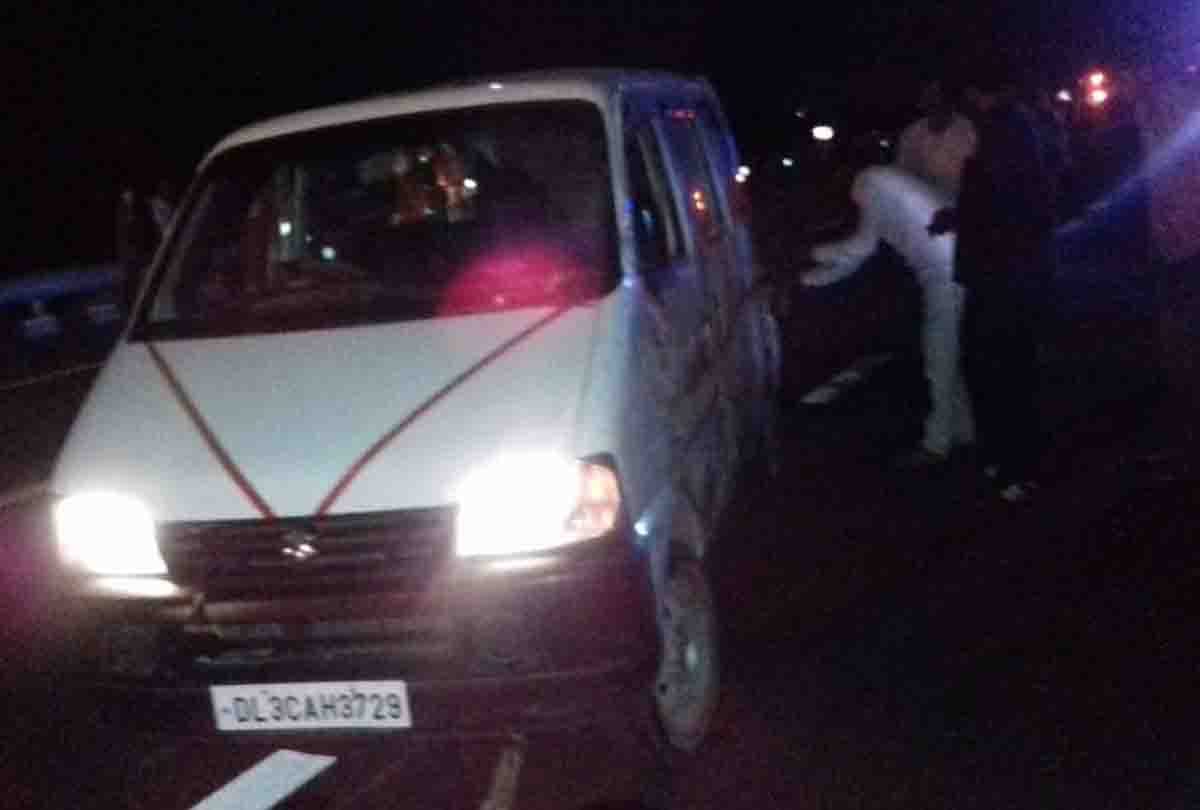 car accident with animal on highway