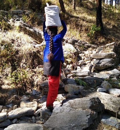 Trap of forest law trapped in road construction
