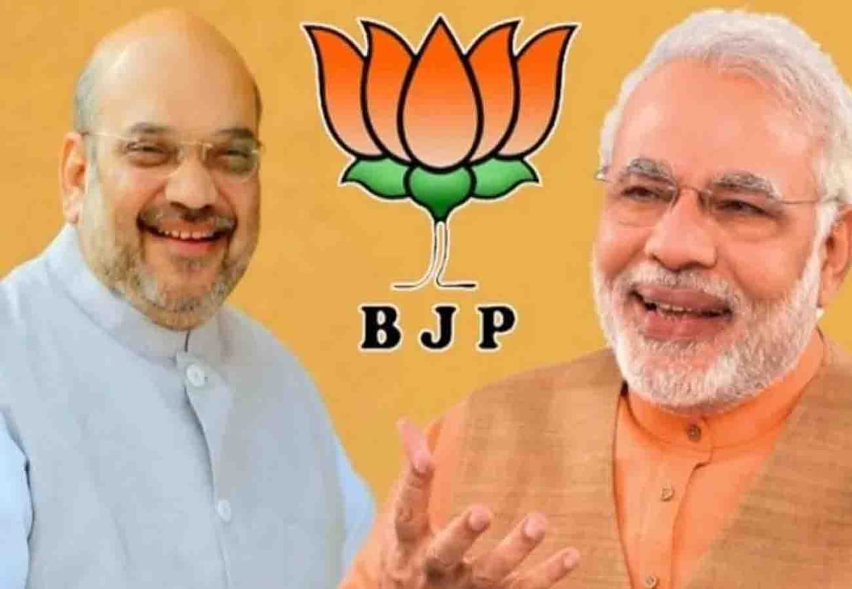 BJP Election Preparation and lok sabha election 2019