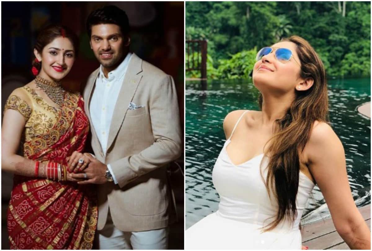 Sayesha Saigal shared honeymoon pictures with husband Arya