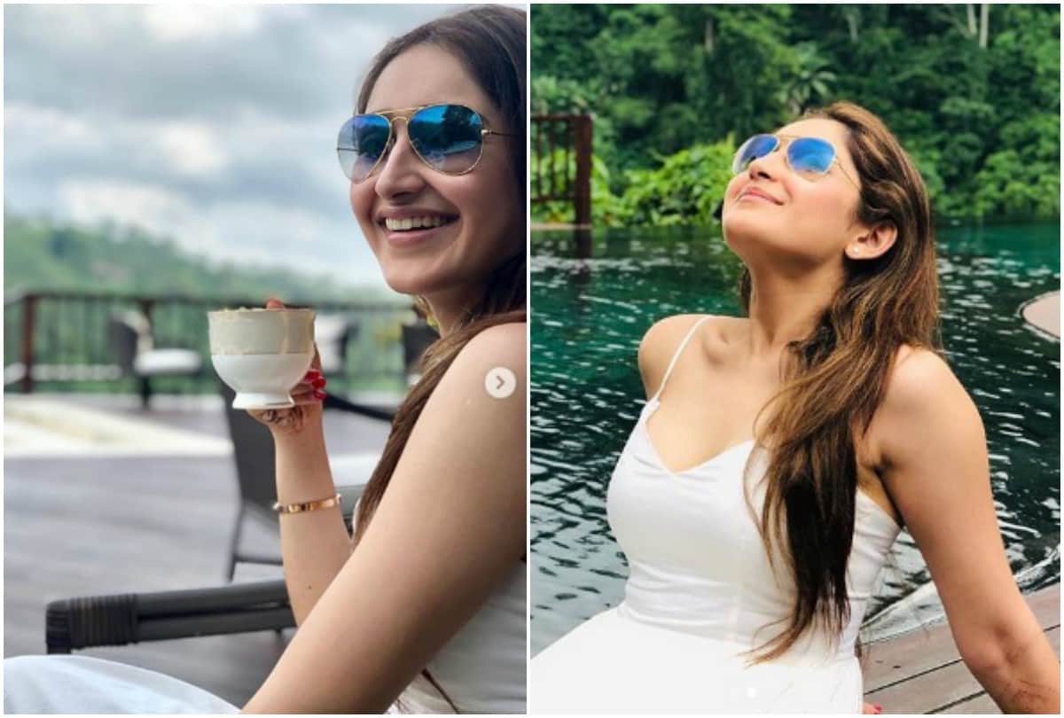 Sayesha Saigal shared honeymoon pictures with husband Arya