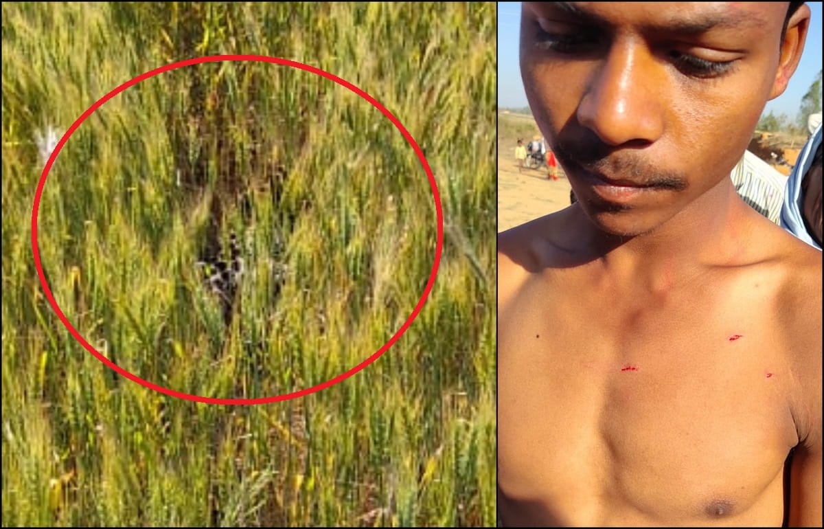 Leopard attack on man in sonbhadra