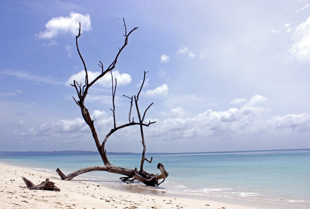 must visit offbeat beach near bhitarkanika will make your trip amazing