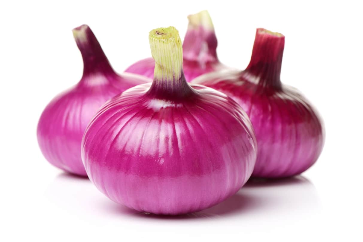 Onions benefits benefits of eating raw onions everyday