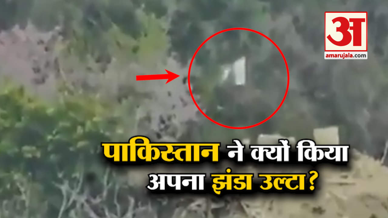 पाकिस्तानी झंडा