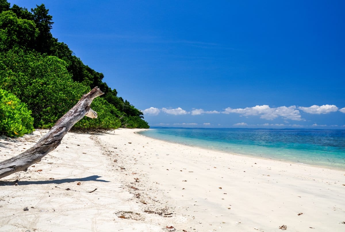 best five places to travel in india in november