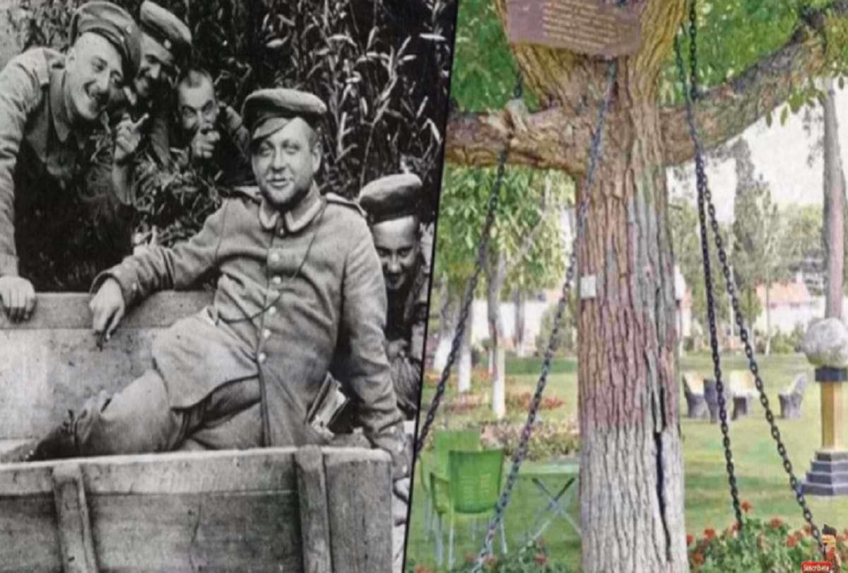 Banyan Tree is under arrest in pakistan Peshawar AND CHAINED for more than 100 year see pictures