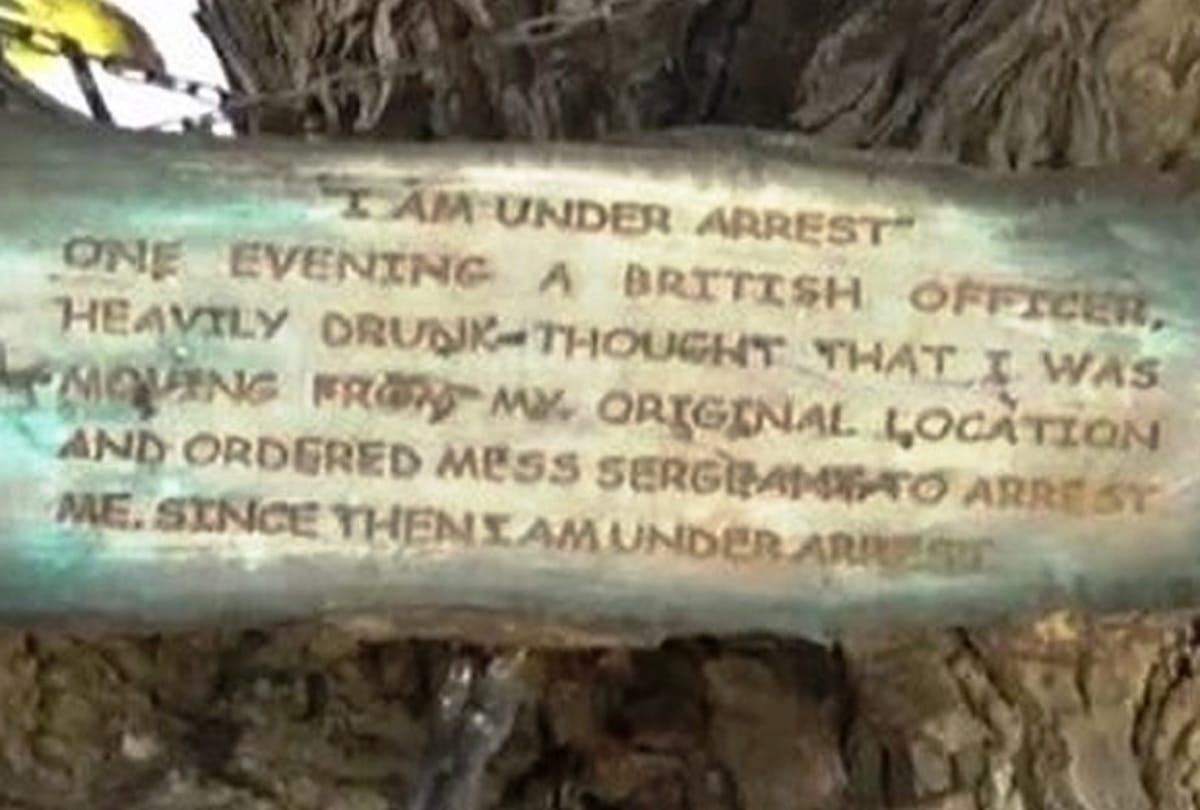 Banyan Tree is under arrest in pakistan Peshawar AND CHAINED for more than 100 year see pictures