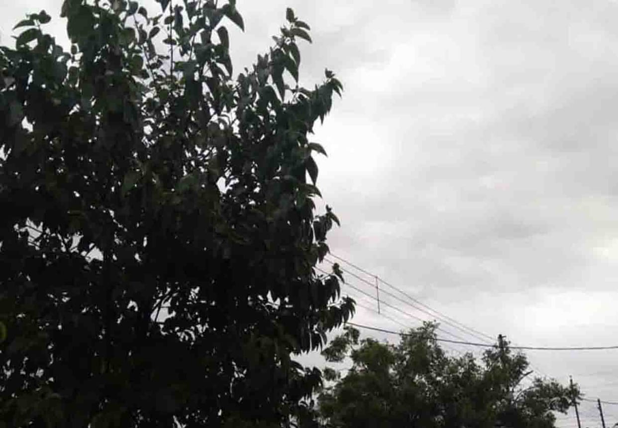 Weather will change with the wind direction, lok sabha election 2019
