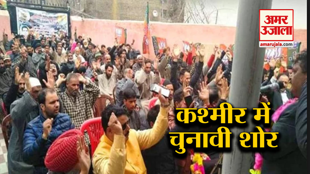 lok sabha election 2019: militant effected anantnag in campaign people chanted bharat mata ki jai