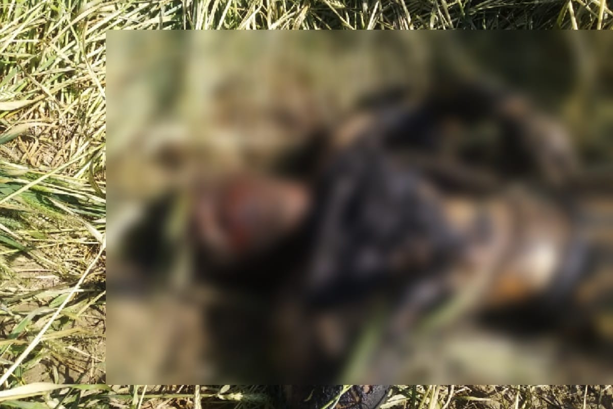Sobhapur Monu Gujjar murder: third murder after ethnic confrontation in shobhapur