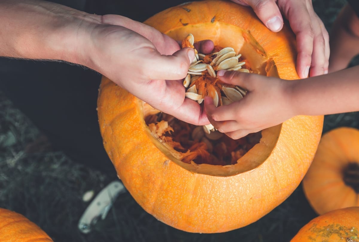 5 seeds beneficial for health you should start eating today
