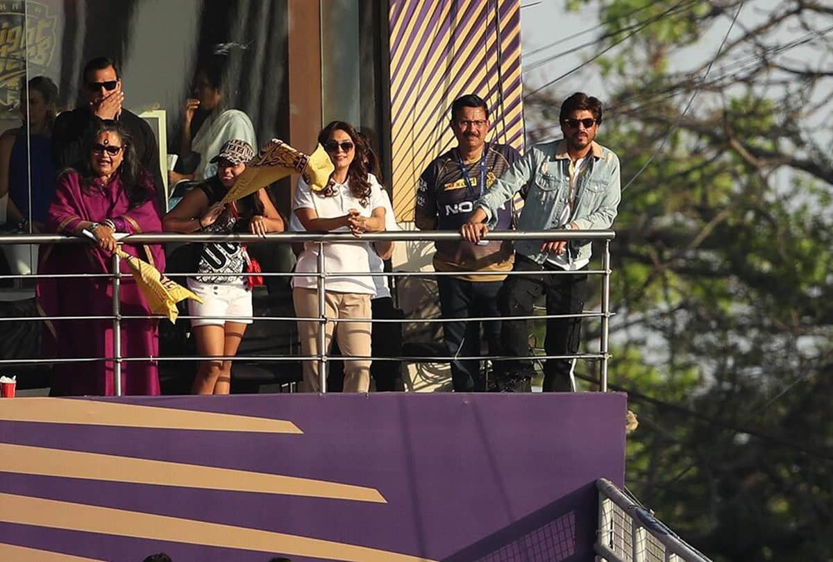 IPL 2019 shahrukh khan here are KKR winning moments pics