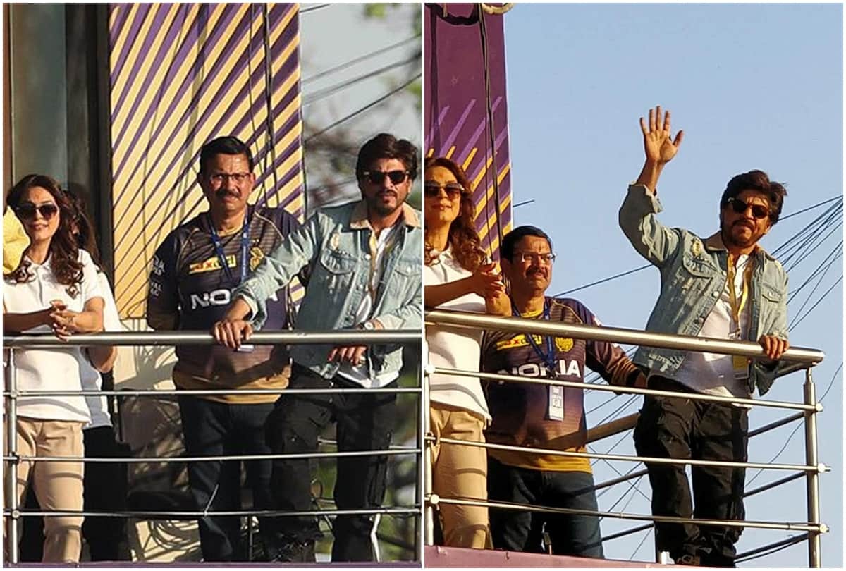 IPL 2019 shahrukh khan here are KKR winning moments pics