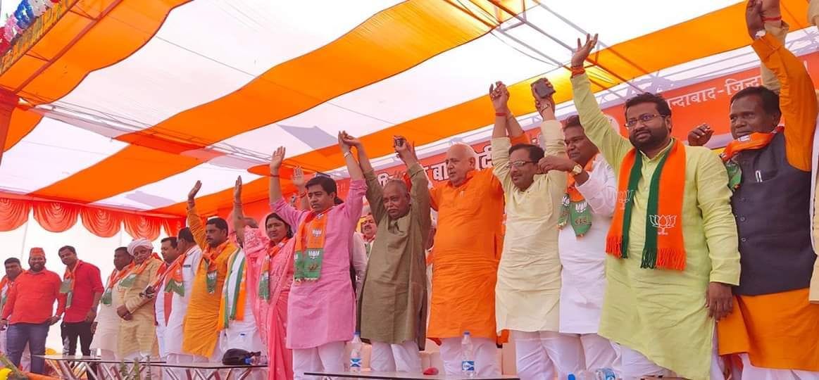 विकास के मुद्दे पर चुनाव लड़ रही भाजपा : शाही