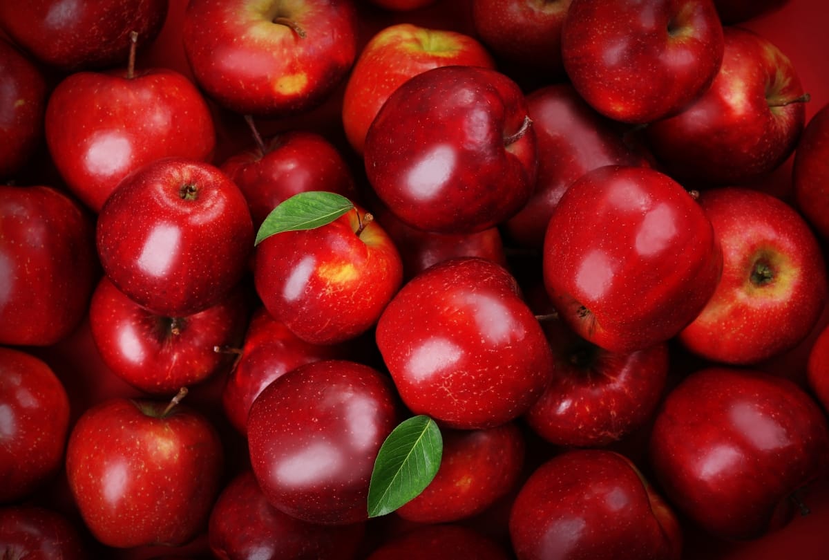 Uttarakhand News: Harshil Apple Demand increased In International Market