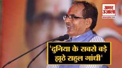 Rahul Gandhi's roar in Sriganganagar, Shivraj's turnout