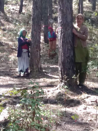 पेड़ों पर रक्षासूत्र बांधकर मनाया चिपको दिवस