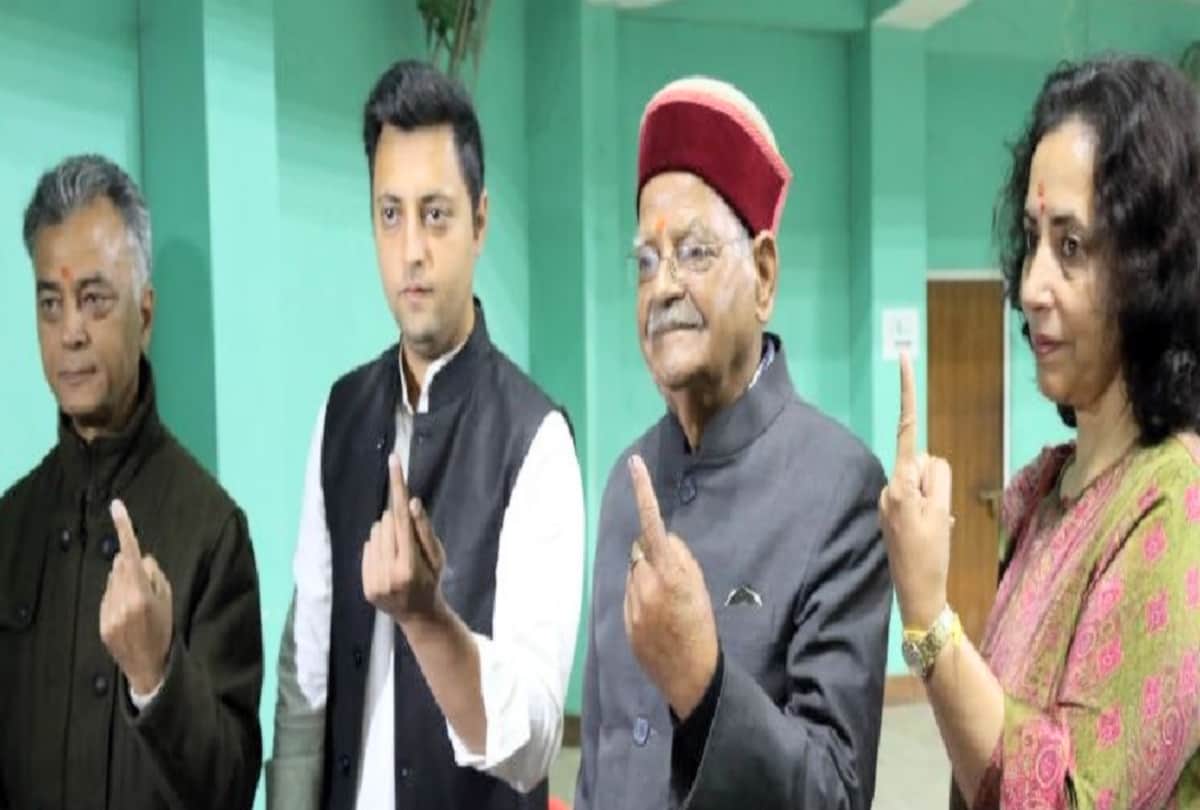 lok sabha election 2019: BJP looking at profit-loss before the removal of Anil Sharma