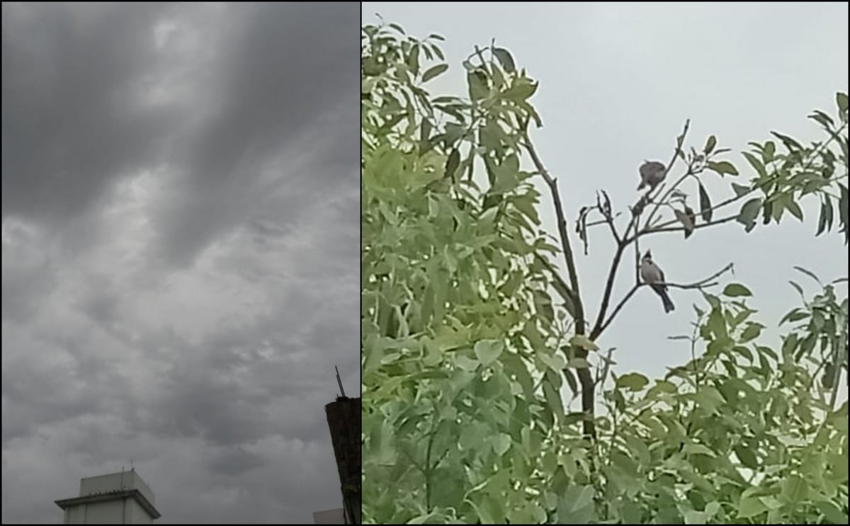 Farmers upset due to rain and storm in purvanchal