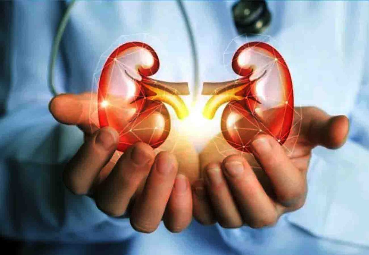 kidney racket in kanpur case update