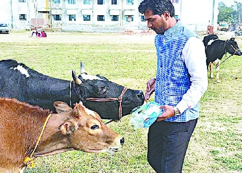 पुलिस की ताबड़तोड़ दबिश, 17 संदिग्ध हिरासत में