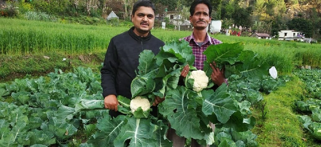People wait for the cauliflowers of Munna Bhai