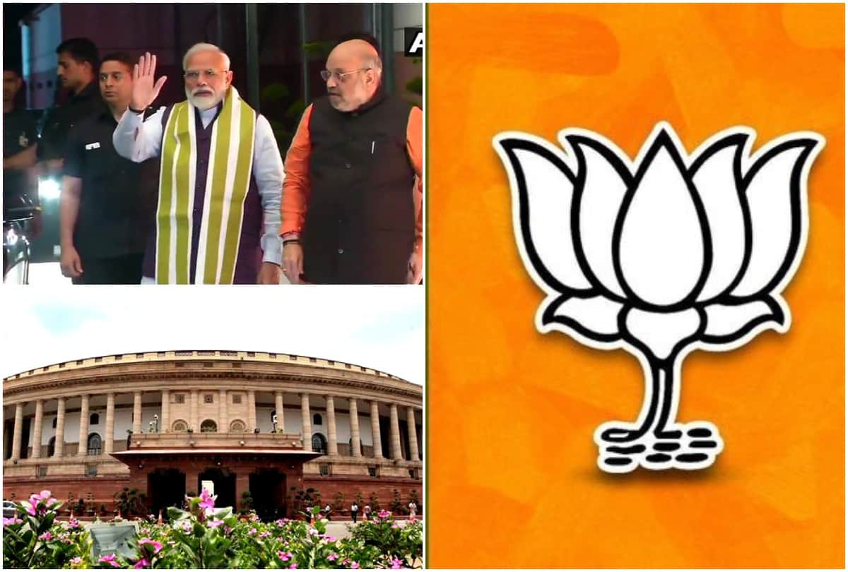 Lok sabha elections 2019: BJP veterans over 75 years who did not get ticket