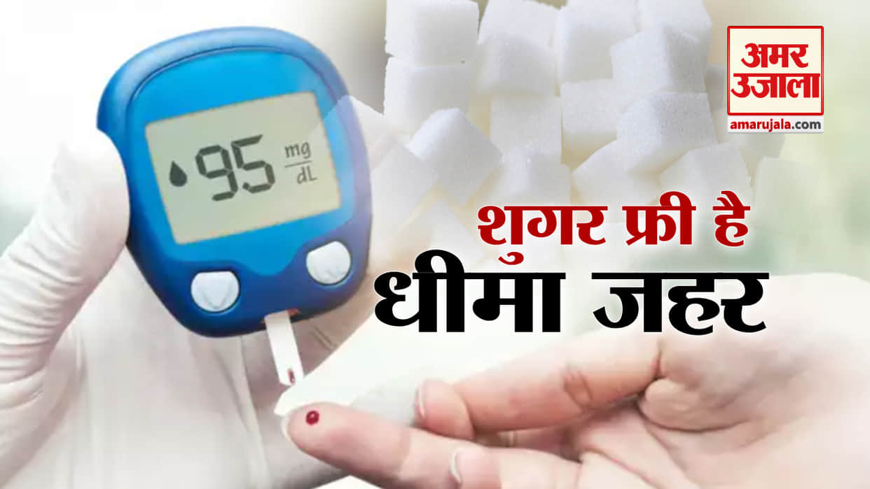 is sugar free things good for diabetics