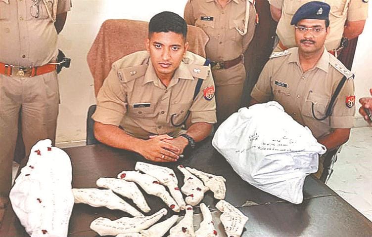 Tamacha Factory caught in Vaishali Puram