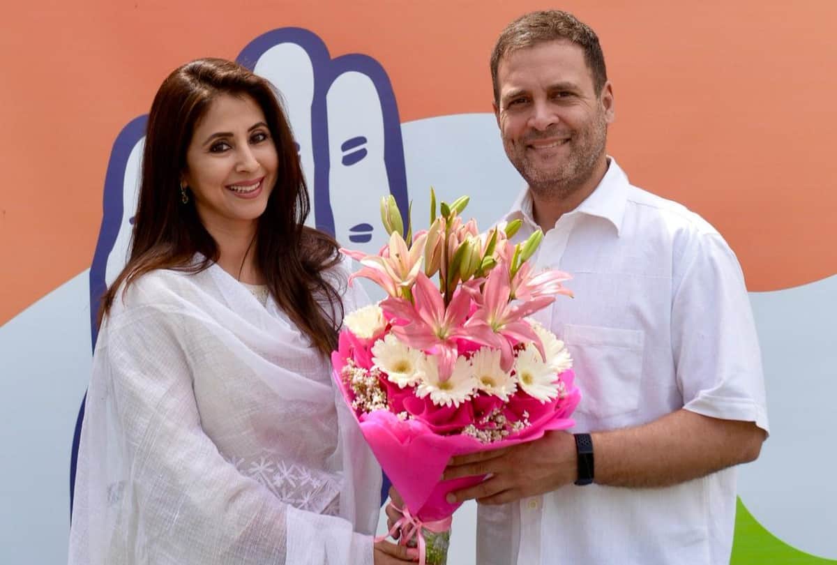 jaya prada to Urmila Matondkar Bollywood Stars Joined Politics user reaction
